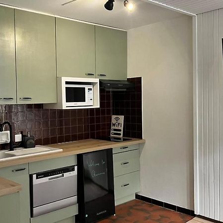Studio Dent Du Caiman, Chamonix Hyper Centre, Parking, Vue Mont Blanc Dış mekan fotoğraf