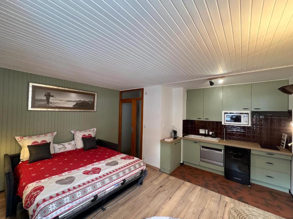 Studio Dent Du Caiman, Chamonix Hyper Centre, Parking, Vue Mont Blanc Dış mekan fotoğraf